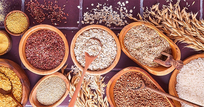 Different types of grains | Trainest