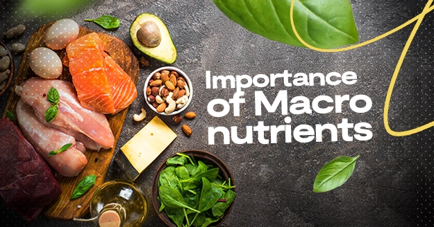 Importance of Macronutrients | Trainest