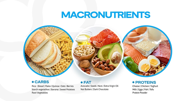 A list of macronutrient sources | Trainest