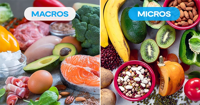 Comparison of macro and micronutrient sources | Trainest