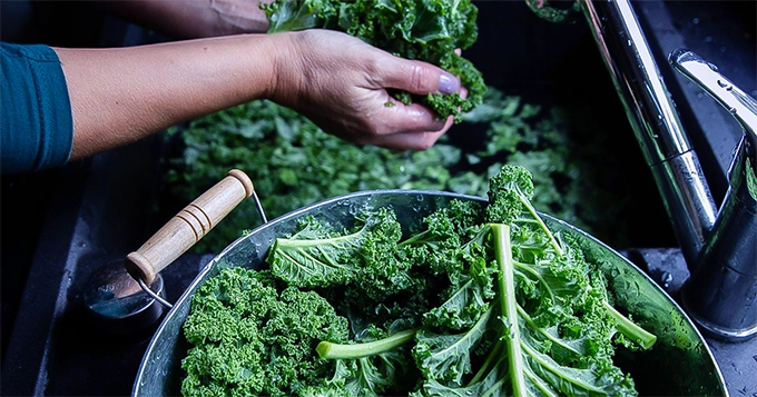 Someone prepping kale in the sink | Trainest 