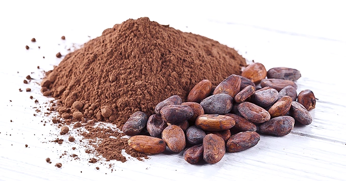 Cacao seeds and powder | Trainest 