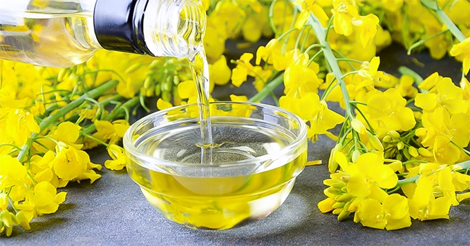 Canola oil poured into a bowl | Trainest 