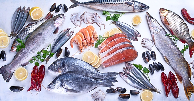 An assortment of fish and other seafood | Trainest 