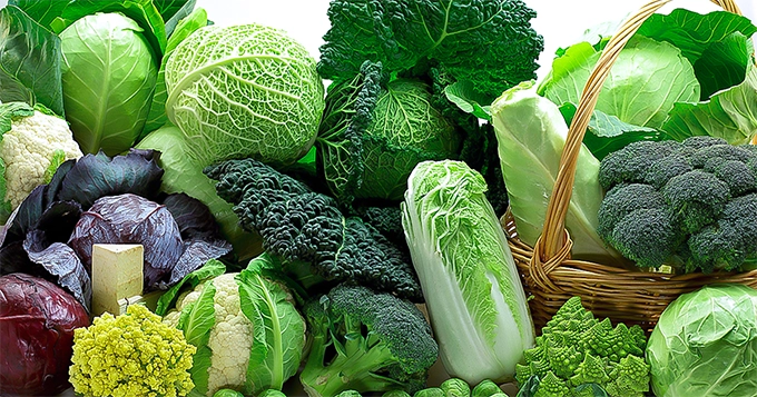 A selection of leafy, green vegetables | Trainest 