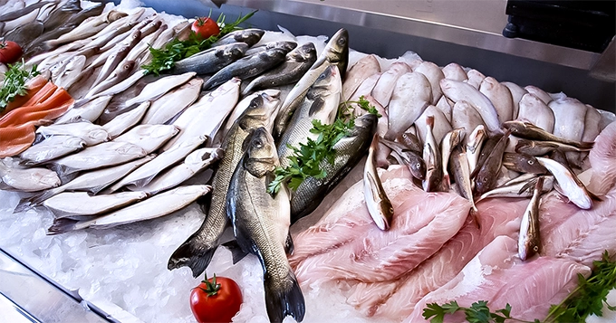 A variety of seafood in the supermarket | Trainest 