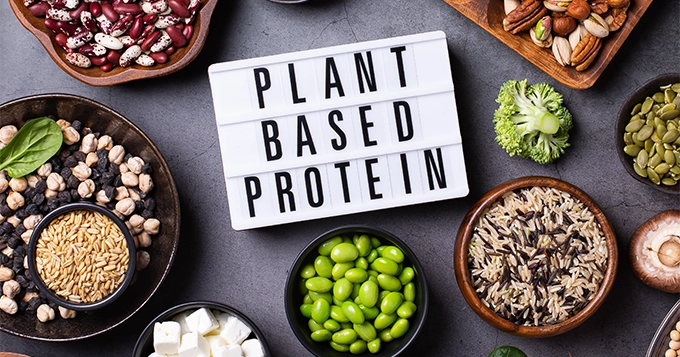 A variety of plant-based protein sources | Trainest 