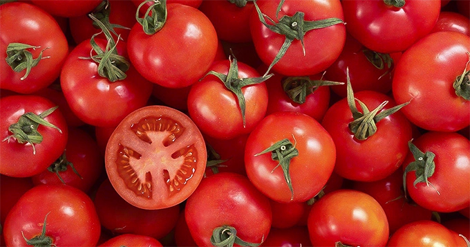 A close-up of fresh, ripe tomatoes | Trainest 