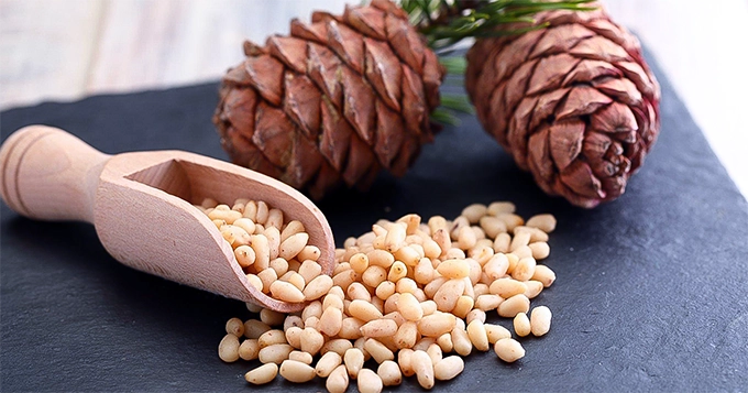 Pine nuts beside pine cones | Trainest 