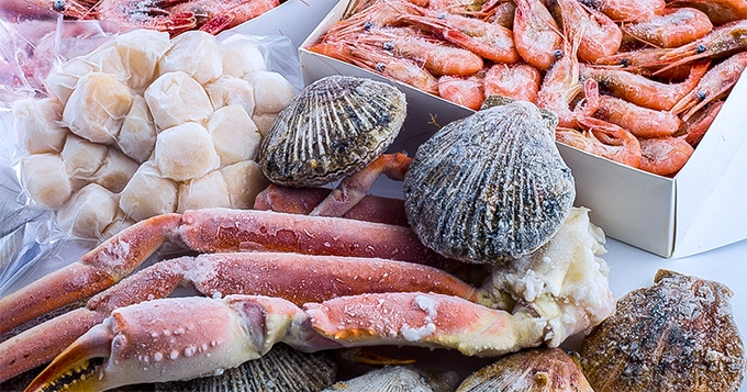 A selection of frozen shellfish | Trainest 