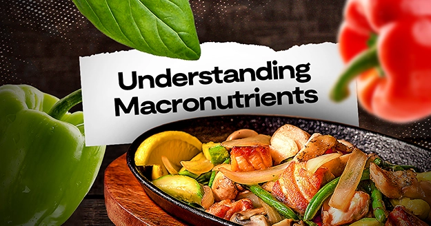 Understanding Macronutrients | Trainest