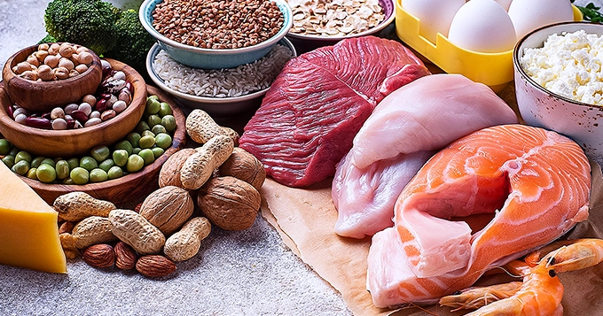 A variety of raw sources of protein | Trainest 