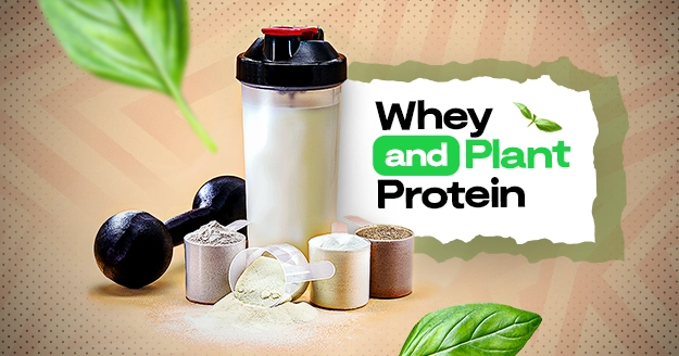 Whey and Plant Protein | Trainest