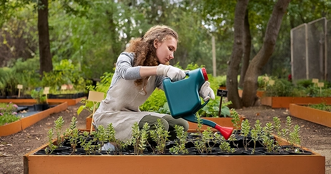 A woman watering plants in the back garden | Trainest
