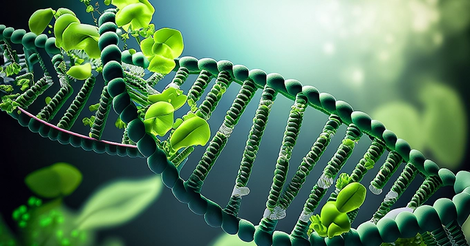 A molecular strand of genetic material, better known as DNA | Trainest 