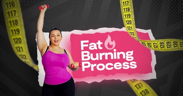 Fat Burning Process | Trainest