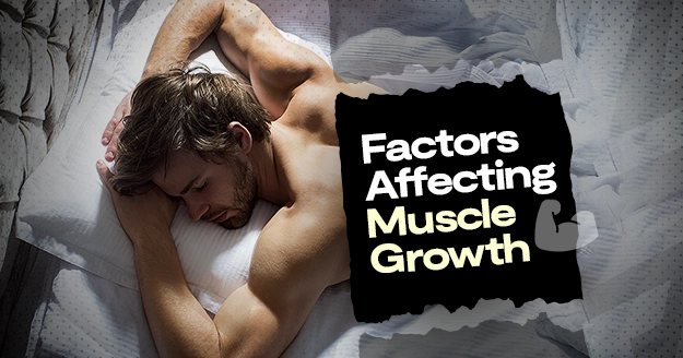 Factors Affecting Muscle Growth | Trainest