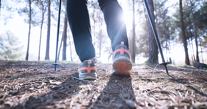 A close-up shot of someone hiking in beginner's terrain | Trainest