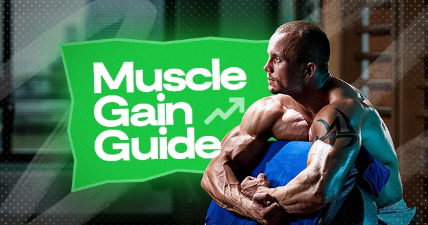 Muscle Gain Guide | Trainest