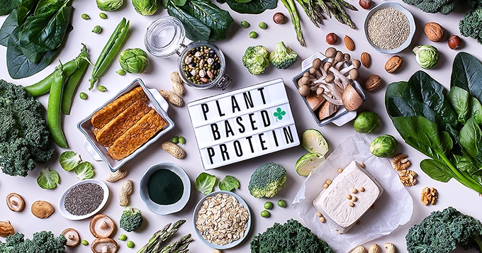 Table filled with a variety of plant proteins | Trainest