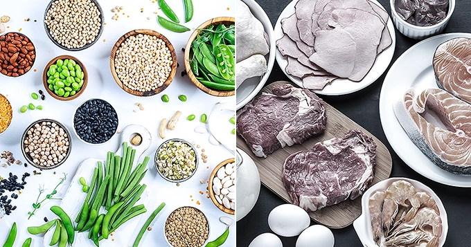 Side by side photo of plant-based protein sources vs high-saturated fat animal products | Trainest