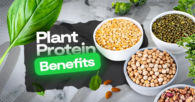 Plant Protein Benefits