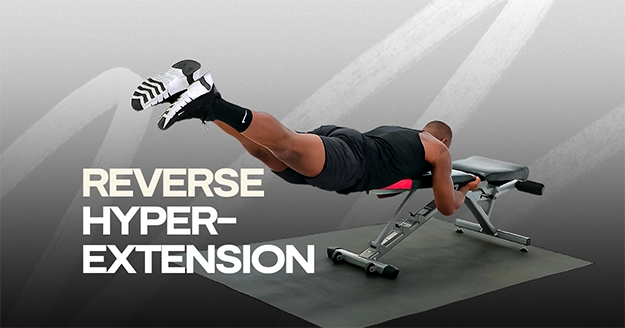 Reverse Hyperextension