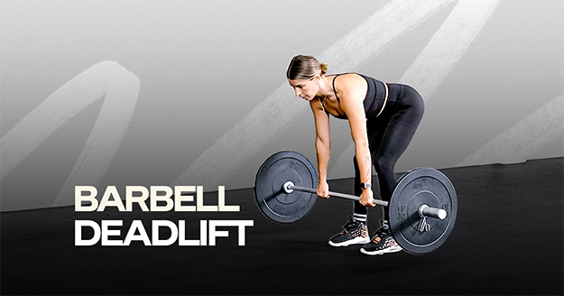 Barbell Deadlift | Trainest