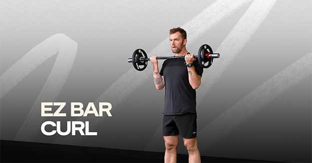 EZ Bar Curl | Trainest