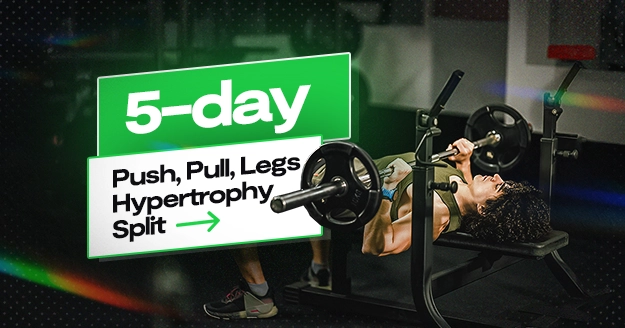 Lean Muscle: 5-Day Push, Pull, Legs Hypertrophy Split | Trainest