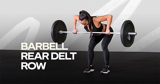 Barbell Rear Delt Row | Trainest