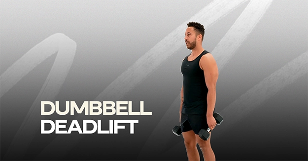 Dumbbell Deadlift | Trainest