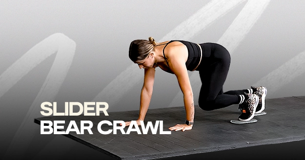 Slider Bear Crawl | Trainest